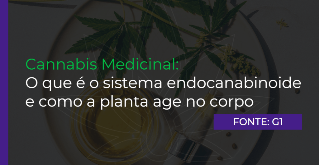 Cannabis Medicinal: O que é o sistema endocanabinoide e como a planta age no corpo