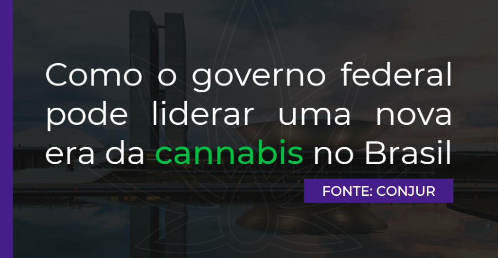 Como o governo federal pode liderar uma nova era da cannabis no Brasil