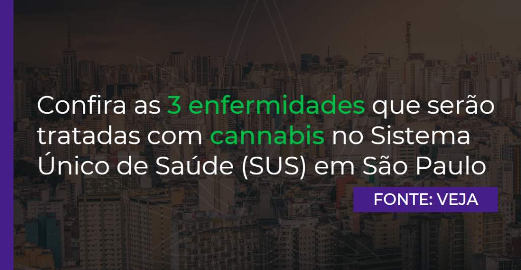 Confira as 3 enfermidades que serão tratadas com cannabis no Sistema Único de Saúde (SUS) em São Paulo