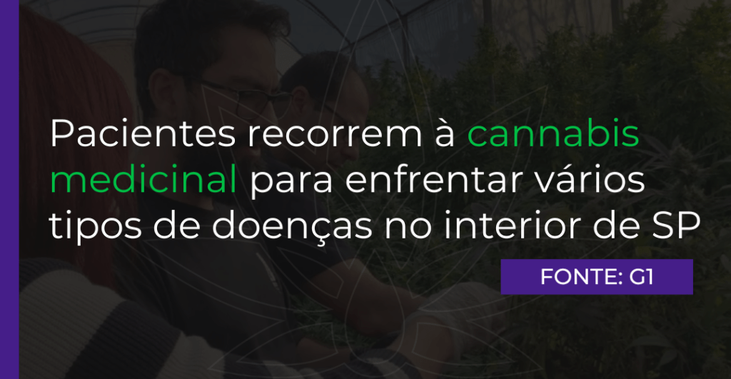 Pacientes recorrem à cannabis medicinal para enfrentar vários tipos de doenças no interior de SP