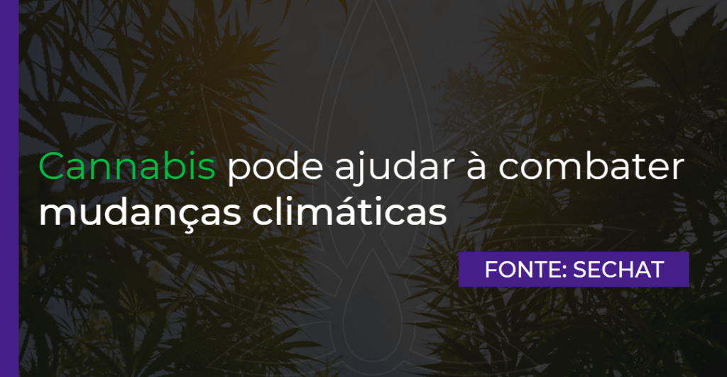 Cannabis pode ajudar à combater mudanças climáticas
