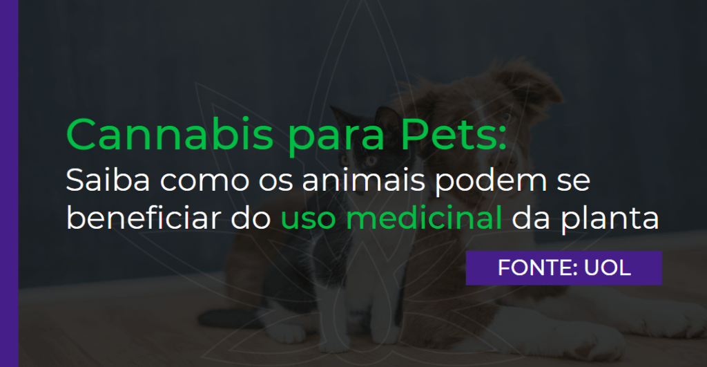 Cannabis para Pets: Saiba como os animais podem se beneficiar do uso medicinal da planta