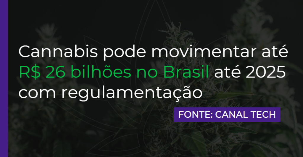 Cannabis pode movimentar até R$ 26 bilhões no Brasil até 2025 com regulamentação