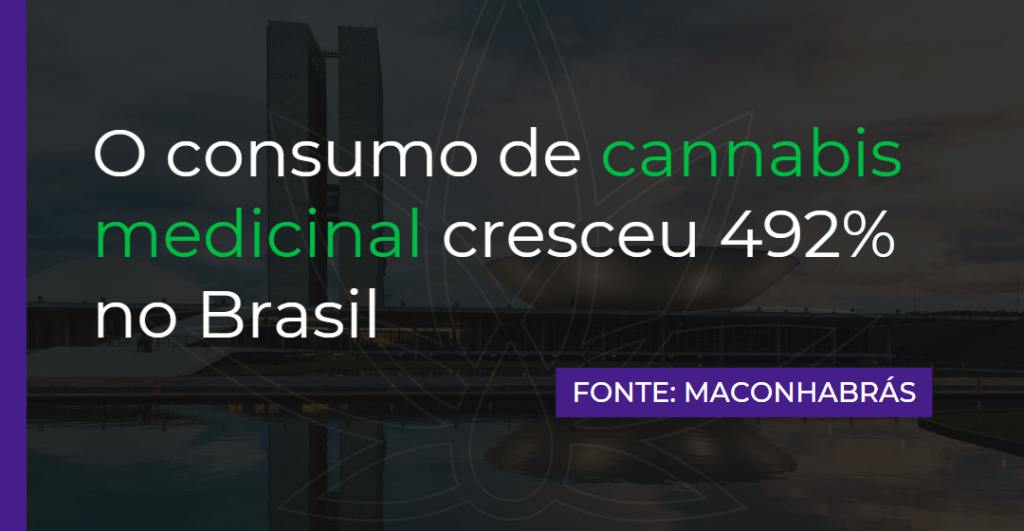 O consumo de cannabis medicinal cresceu 492% no Brasil