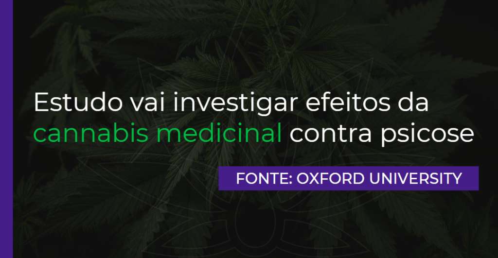 Estudo vai investigar efeitos da cannabis medicinal contra psicose