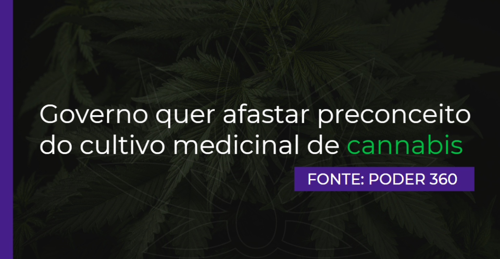“Precisamos trazer a ciência para o centro das discussões”, diz representante do Ministério da Saúde sobre a cannabis