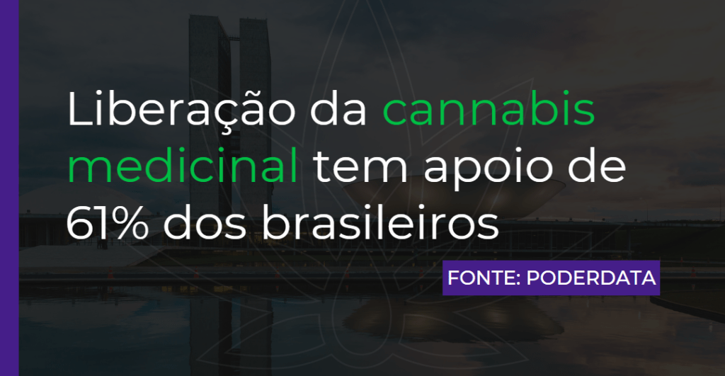 Liberação da cannabis medicinal tem apoio de 61% dos brasileiros