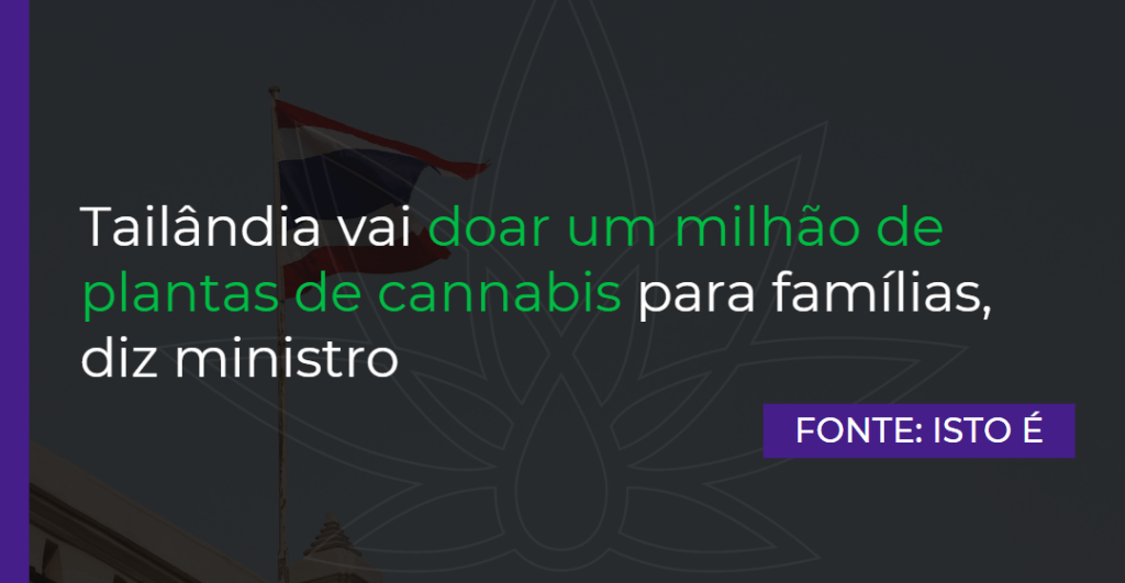 Tailândia vai doar um milhão de plantas de cannabis para famílias, diz ministro