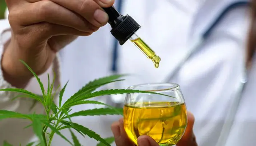 CANNABIS