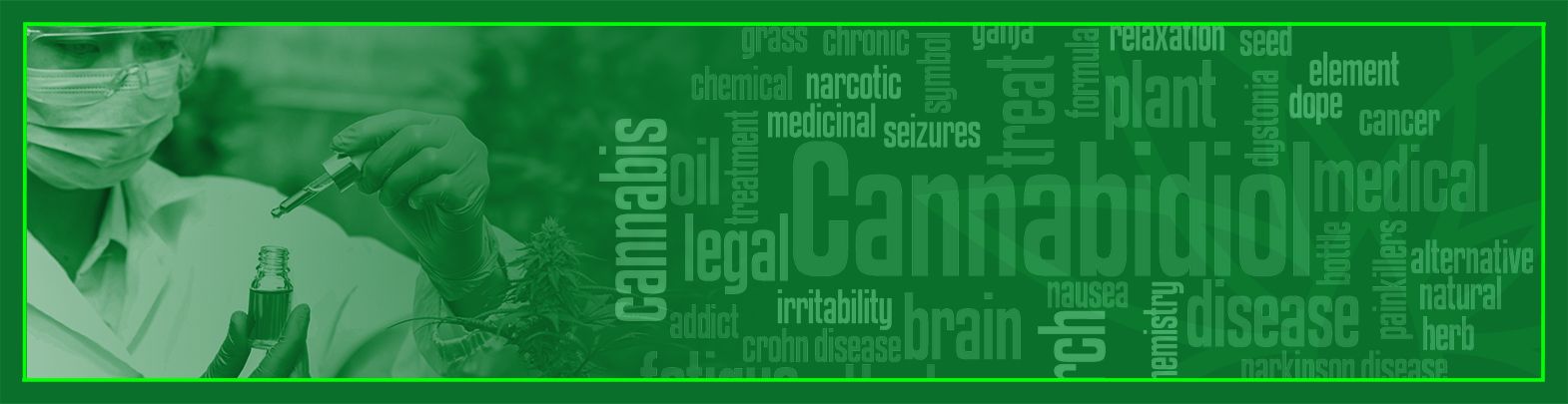 ENDOCANABINOLOGIA E APLICAÇÃO TERAPÊUTICA DA CANNABIS E SEUS DERIVADOS